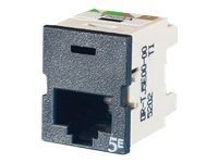 Ortronics Clarity 5E TracJack - modular insert