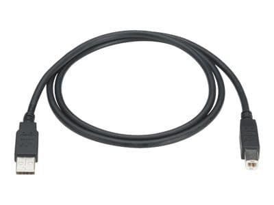 Black Box - USB cable - USB to USB Type B - 15 ft