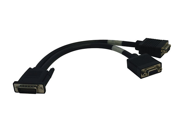 College Keel Nathaniel Ward Tripp Lite 1ft DMS-59 to 2x VGA Splitter Cable M/Fx2 1' - VGA cable - 1 ft  - P574-001 - Monitor Cables & Adapters - CDW.com