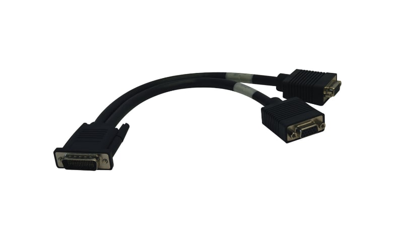 Tripp Lite 1ft DMS-59 2x VGA Splitter Cable M/Fx2 1' - VGA cable - 1 ft - P574-001 Monitor Cables & Adapters - CDW.com