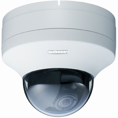 Sony IPELA SNC-DS10 - network camera