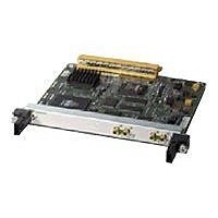 Cisco 2-Port Clear Channel T3/E3 Shared Port Adapter - expansion module - 2