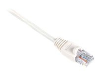 Black Box CAT5e Solid-Conductor Backbone Cable network cable - 5 ft - white