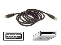 Belkin USB Extension Cable - USB extension cable - 10 ft