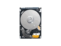 Seagate Momentus 5400.6 ST9500325AS - hard drive - 500 GB - SATA-300
