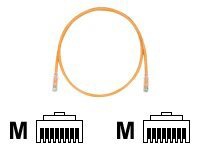 Panduit TX6 PLUS patch cable - 35 ft - orange