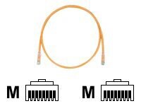 Panduit TX6 PLUS patch cable - 6 ft - orange