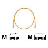 Panduit TX6 PLUS patch cable - 14 ft - orange