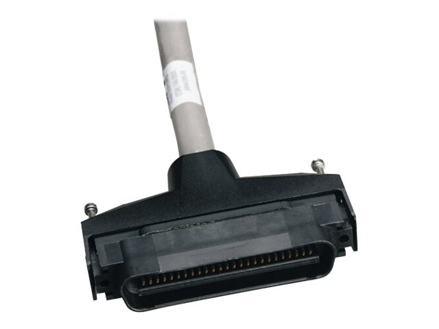 Black Box network cable - 50 ft