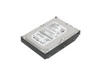 Lenovo - hard drive - 1 TB - SATA 3Gb/s
