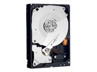 WD Caviar Black WD6401AALS - hard drive - 640 GB - SATA-300