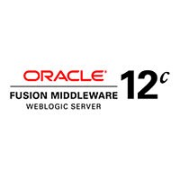 Oracle WebLogic Server Enterprise Edition - license - Named User Plus