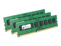 EDGE memory - 3 GB : 3 x 1 GB - DIMM 240-pin - DDR3