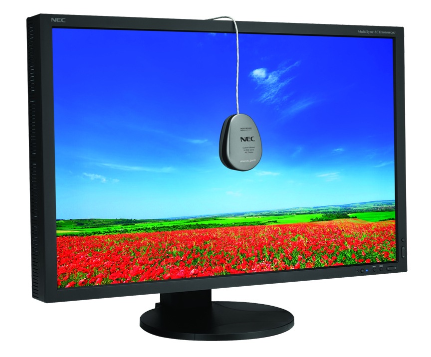 NEC MultiSync LCD3090W-BK-SV 30" Large Format Display