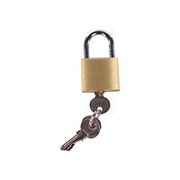 Perm-A-Store Turtle Lock 5020 - security lock