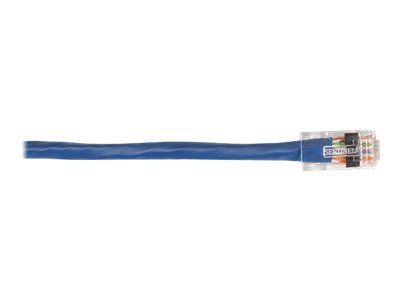 Black Box CAT6 Solid-Conductor Backbone Cable network cable - 50 ft - blue