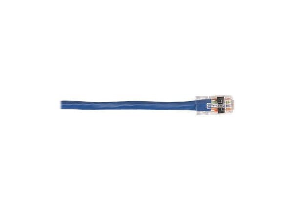Black Box CAT6 Solid-Conductor Backbone Cable network cable - 50 ft - blue