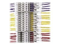 Panduit P1 Continuous Terminal Block Label Cassette - labels - 1 roll(s) - Roll (0.31 in x 25 ft)