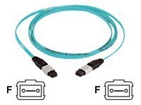 Panduit QuickNet MTP Interconnect Cable Assemblies - Multimode 10Gig - netw