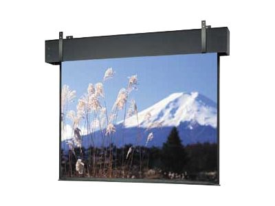 Da-Lite Professional Electrol projection screen - 243" (242.9 in)