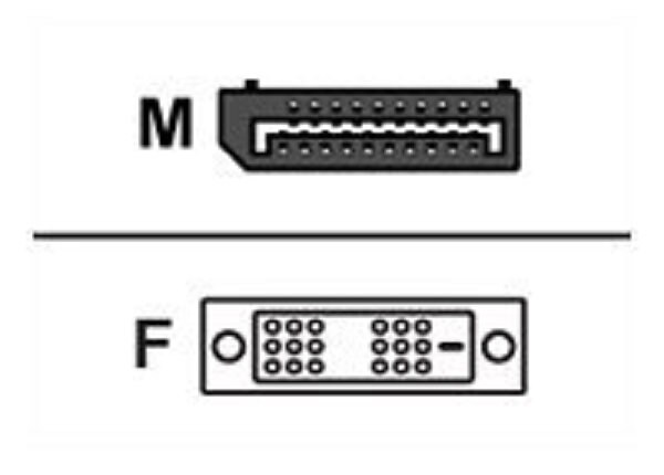 PNY DISPLAY PORT TO DVI CABLE SINGLE