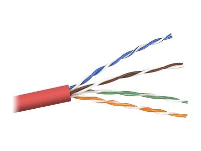 Belkin bulk cable - 1000 ft - red