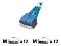 Panduit QuickNet Plug Pack Cable Assembly - network cable - 3 ft - blue