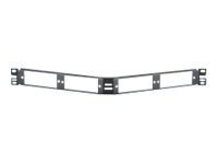 Panduit Opticom Fiber Adapter Panels - patch panel adapter - 19"