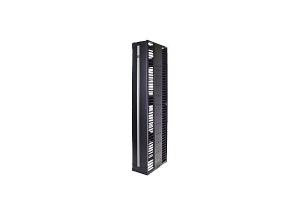 CPI Evolution Cable Management g2 Double-Sided - rack cable management panel