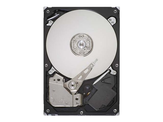 Seagate Desktop HDD ST31000528AS - hard drive - 1 TB - SATA 3Gb/s