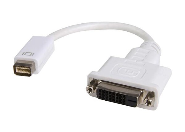 StarTech.com Mini DVI to DVI Video Cable Adapter for Macbooks and iMacs - video adapter - 20 cm