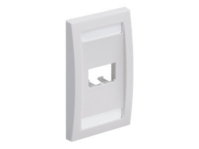 Panduit Mini-Com 2 Sockets Single Gang Faceplate