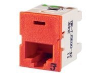 Ortronics Clarity 5E TracJack - modular insert