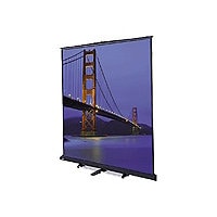 Da-Lite Floor Model C projection screen