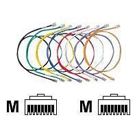 Panduit TX5e patch cable - 100 ft - gray