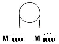 Panduit patch cable - 12 ft - black
