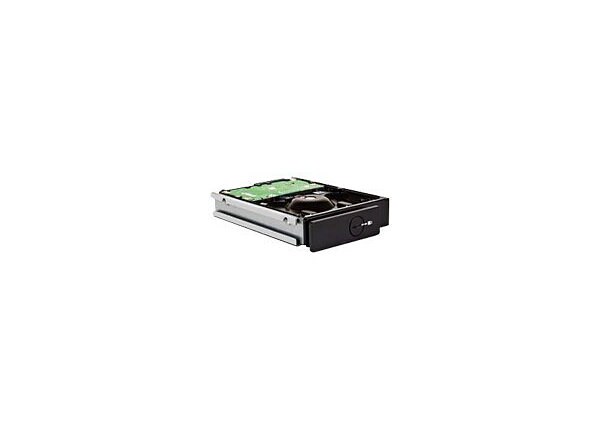 LaCie 4big/5big Spare Drive - hard drive - 2 TB - SATA 3Gb/s
