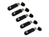 HP USB Flash Drive v100w - USB flash drive - 2 GB