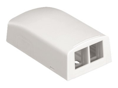 Panduit NetKey 2 Sockets Surface Mounting Box