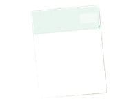 TROY SECURITY Check Paper - Check Top - blank checks