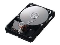 Samsung SpinPoint F1 Desktop Class HD102UJ - hard drive - 1 TB - SATA-300