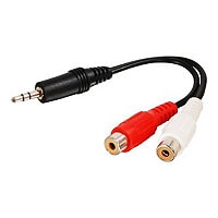 C2G Value Series One 3.5mm Stereo Audio To Two RCA Stereo - Y-Cable Audio Adapter - M/F - audio adapter