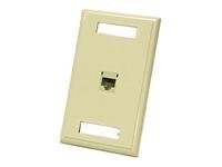 C2G wall mount plate