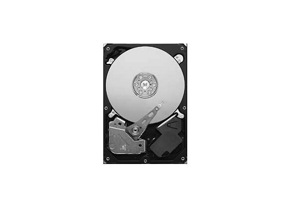 Seagate Pipeline HD ST3250312CS - hard drive - 250 GB - SATA 3Gb/s