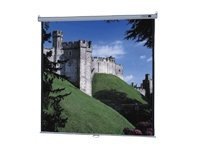 Da-Lite Model B with CSR projection screen - 109" (109.1 in)