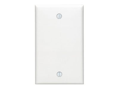 Leviton Blank - mounting plate