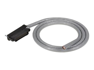 Black Box network cable - 25 ft