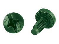 Panduit RGTBSG-C Thread-forming Bonding Screw