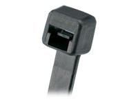 Panduit Pan-Ty Flame Retardant Cable Ties - cable tie