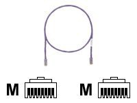Panduit TX5e patch cable - 7 ft - violet